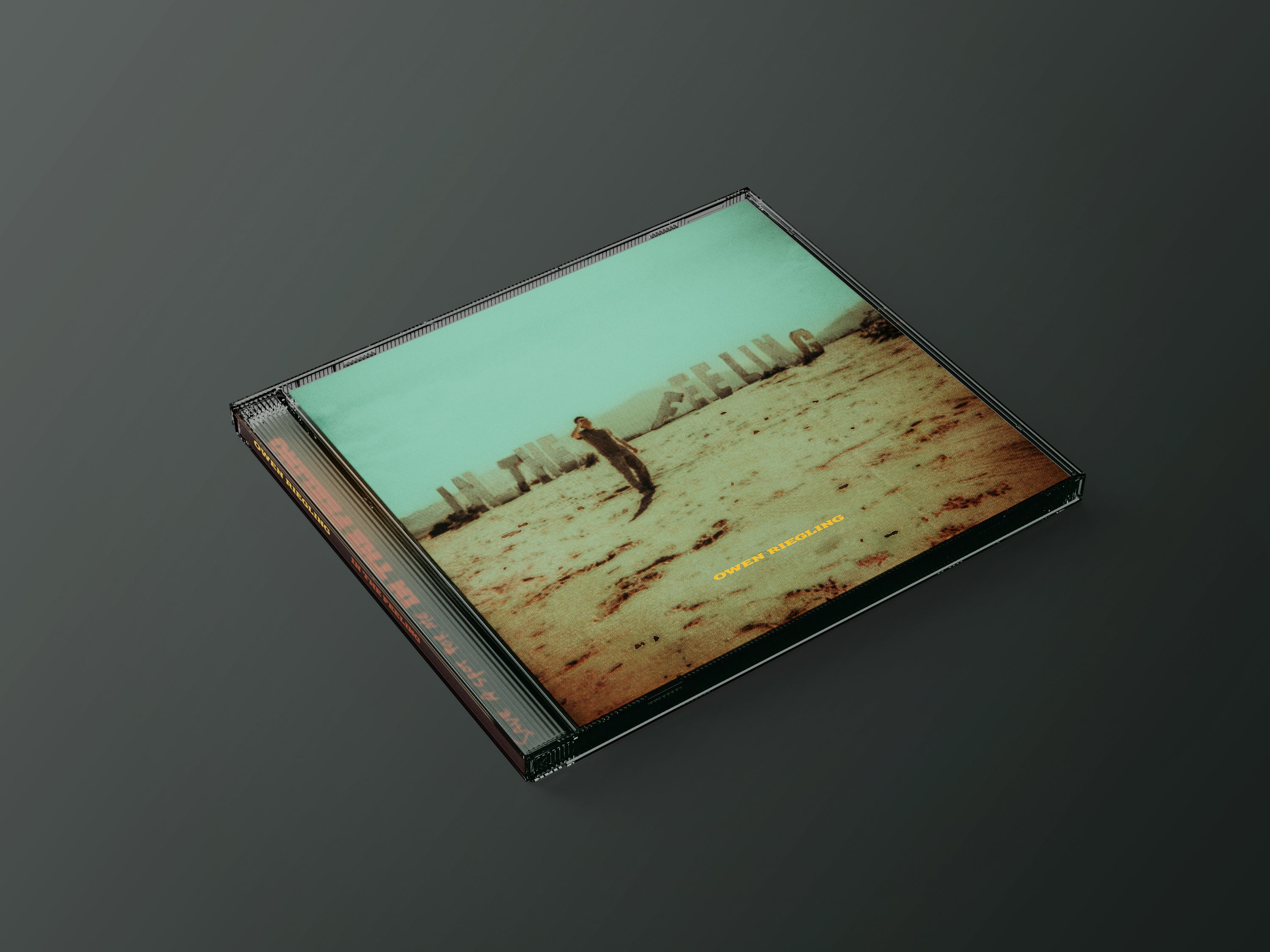 In the Feeling Standard CD front