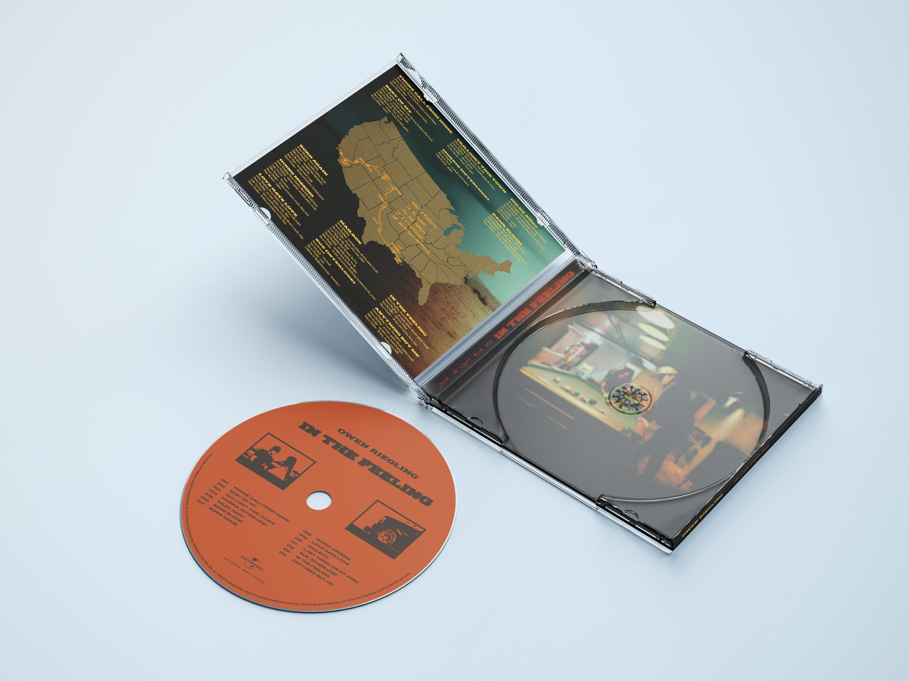 In the Feeling Standard CD expanded
