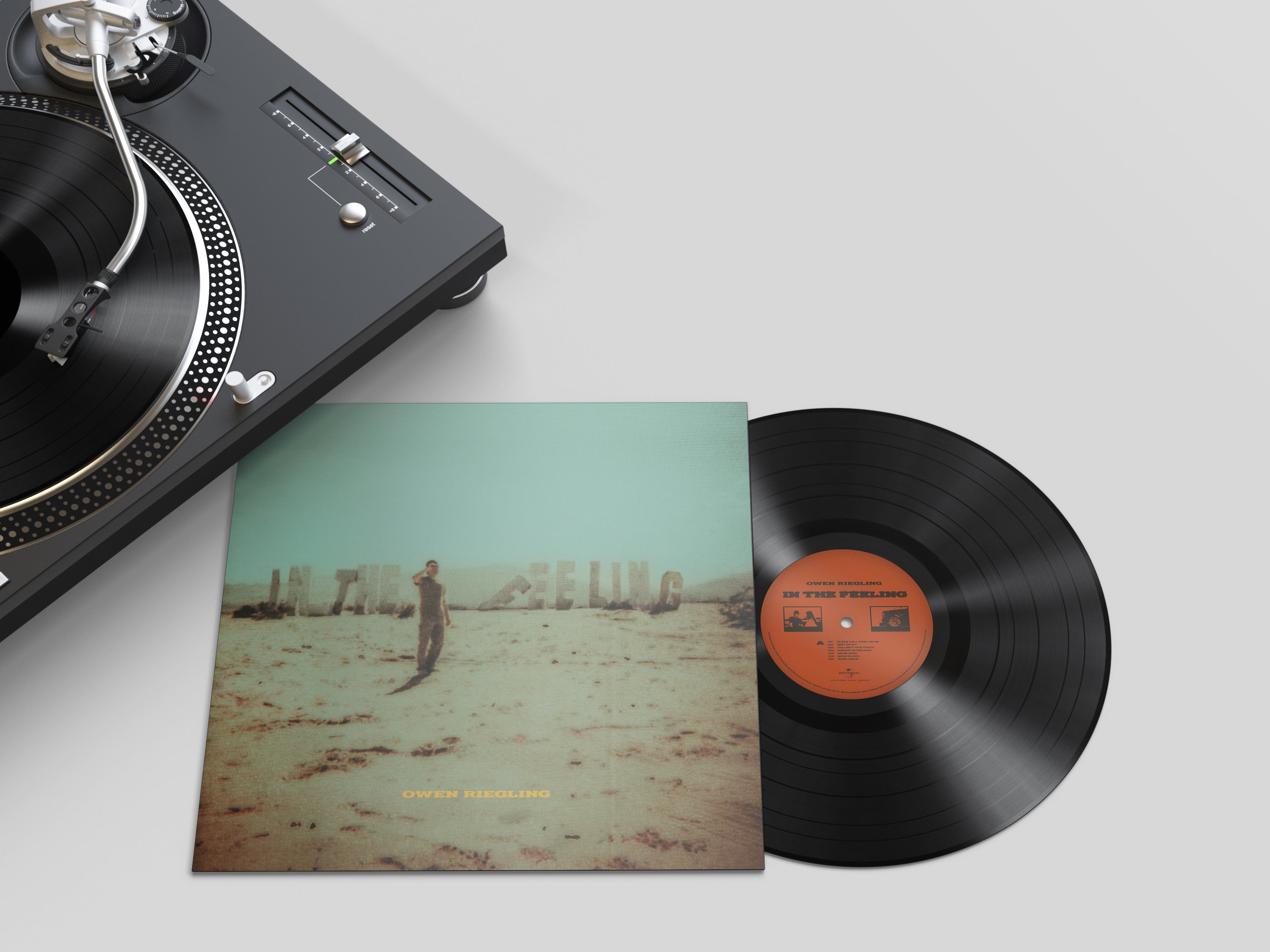 In the Feeling Standard Vinyl - Owen Riegling Official Store