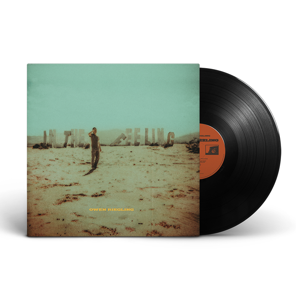 In the Feeling Standard Vinyl